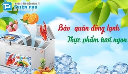 So sánh công nghệ làm lạnh trên tủ đông Sanaky VH-8699HY và tủ đông Alaska BCD-3067N