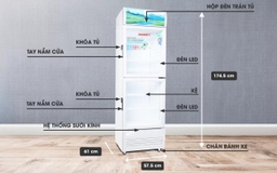 Review chi tiết chất lượng của tủ mát Sanaky Inverter 240 lít 2 cánh VH-308W3L